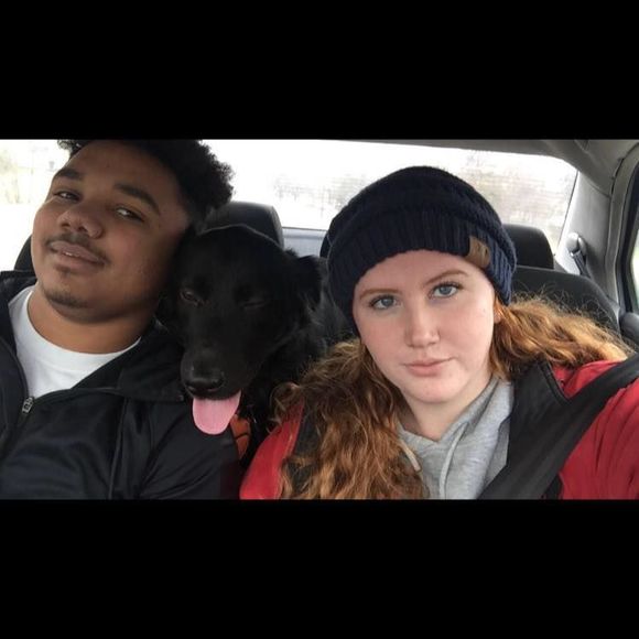 Meet your Posher, Darnell - Picture 1 of 1